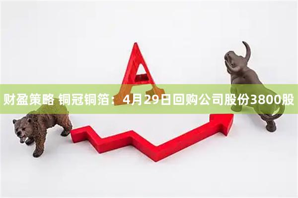 财盈策略 铜冠铜箔：4月29日回购公司股份3800股