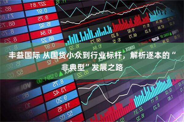 丰益国际 从国货小众到行业标杆，解析逐本的“非典型”发展之路